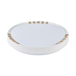 Smart-020 48W dimmable