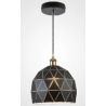 Indoor-099 light