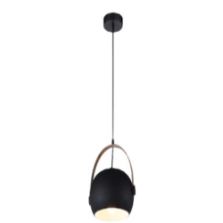 Indoor-007 light