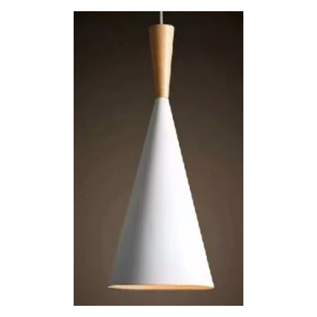 Indoor-107 light