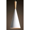 Indoor-107 light