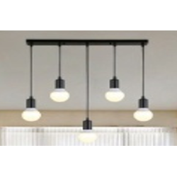 Indoor-129 light