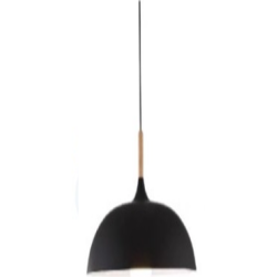 Indoor-009 light