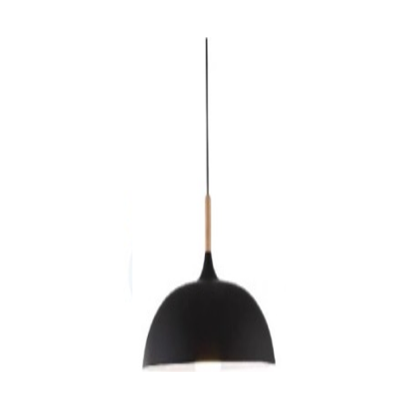 Indoor-009 light