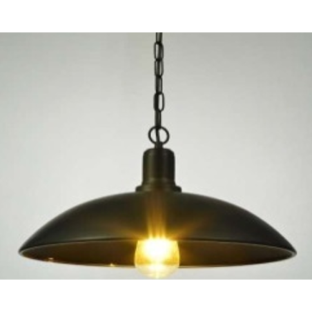 Indoor-060 light