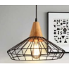 Indoor-110 light