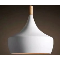 Indoor-106 light
