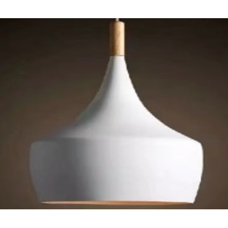 Indoor-106 light