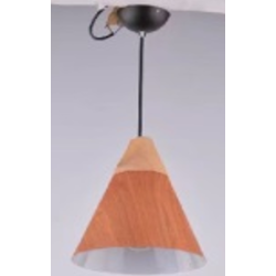 Indoor-070 light