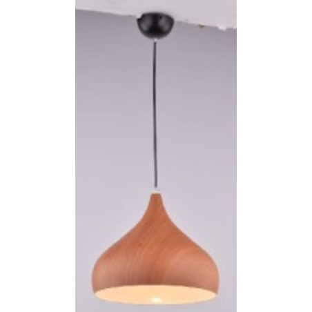 Indoor-069 light
