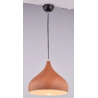 Indoor-069 light