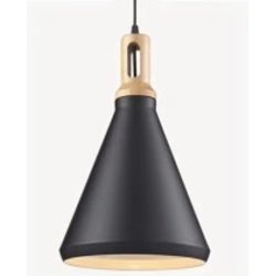 Indoor-013 light