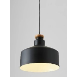 Indoor-037 light