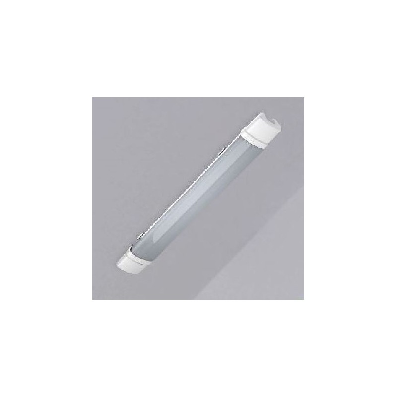 Triproof-002 light 30W DW, minimum - 10 vnt./units