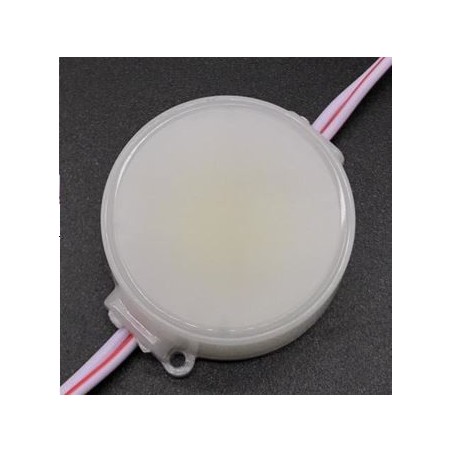Module 2.4W white CW COB, minimum - 20 vnt./units