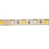 LED strip 12W RGB+WW IP65