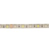 LED strip 12W RGB+W IP65