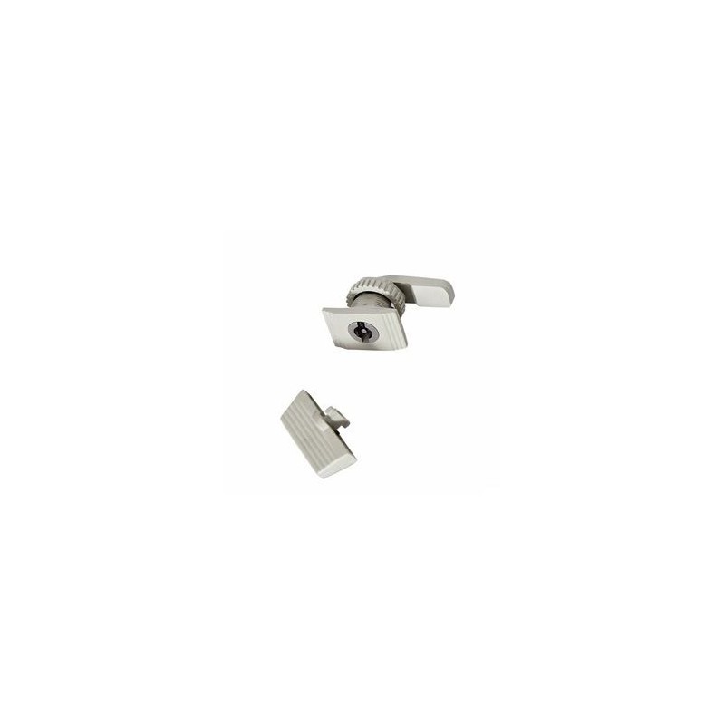 Plastic lock with plastic handle