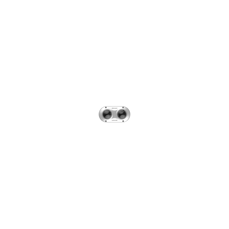 Hikvision — IP kaamera DS-2CD6D42G0-IS 2x2MP 2.8mm Dual-Directional valge